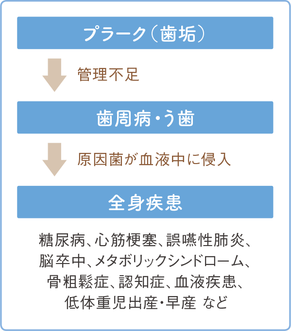 プラーク(歯垢):管理不足→歯周病・う歯:原因菌が血液中に侵入→全身疾患:糖尿病、心筋梗塞、誤嚥性肺炎、脳卒中、メタボリックシンドローム、骨粗鬆症、認知症、血液疾患、低体重児出産・早産など