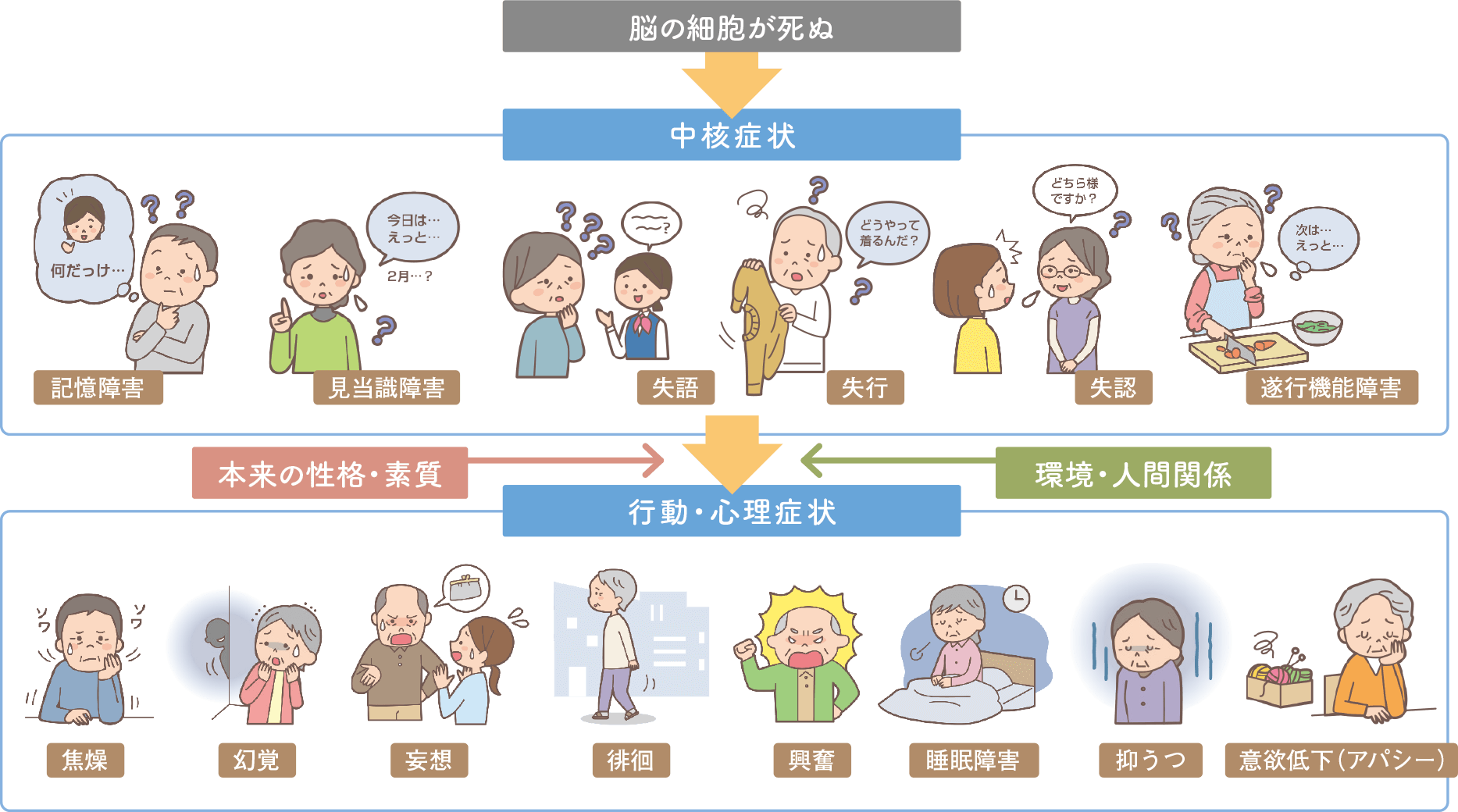 脳機能が低下することで起こる「中核症状」と「行動・心理症状」について