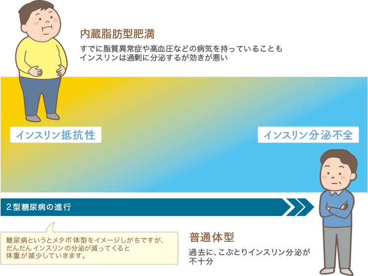 内臓脂肪型肥満と普通体型のインスリン分泌不全とインスリン抵抗値の図