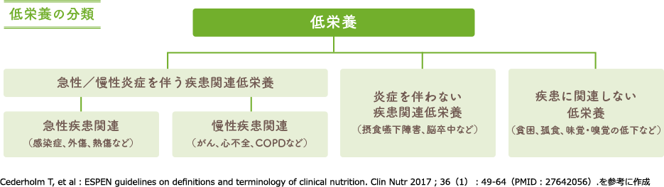 見た目ではわかりにくい低栄養に注意