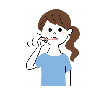 ② しっかりブラッシングします。