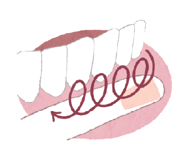 ② リペリオをつけた指の腹で歯肉を傷つけないように円を描くようにマッサージします。