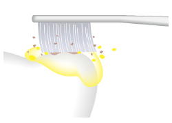 サンゴパウダー:細かい粒子が細かい 汚れを清掃します。
